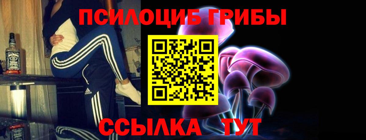 Псилоцибиновые грибы Psilocybine cubensis Георгиевск